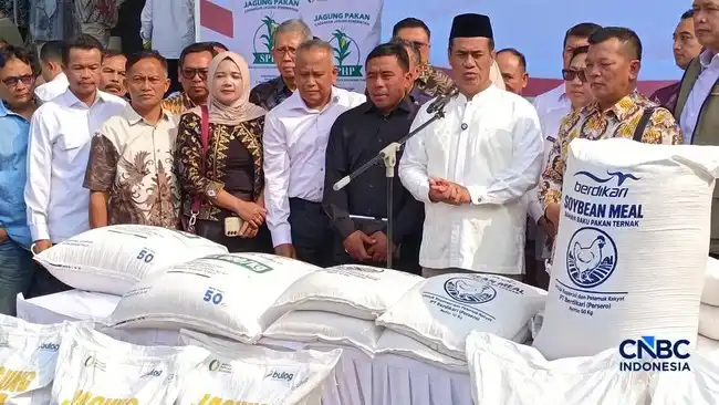 Pemerintah Siapkan Pengalihan Kuota Impor Bungkil Kedelai kepada BUMN