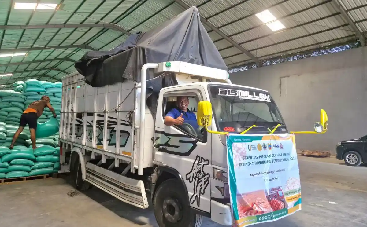 Bulog Jawa Tengah Percepat Penyaluran Jagung SPHP untuk Peternak, Realisasi Tembus 83,28 Persen – Suara Merdeka Bulog Jawa Tengah Percepat Penyaluran Jagung SPHP untuk Peternak, Realisasi Tembus 83,28 Persen – Suara Merdeka