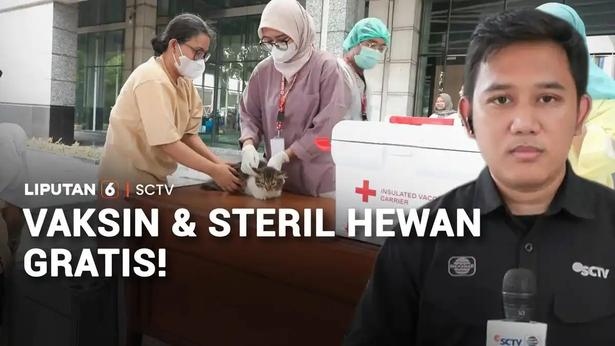 Layanan Vaksinasi dan Sterilisasi Hewan Gratis Digelar di Kantor Wali Kota Jakarta Timur