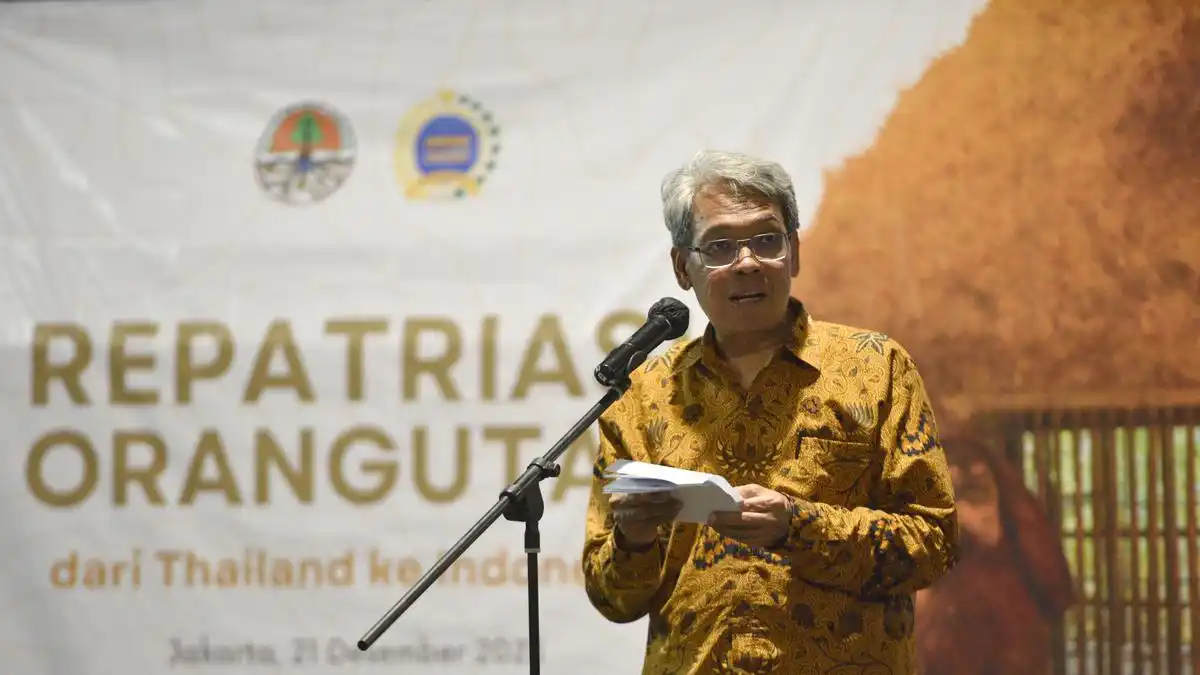 Satyawan Pudyatmoko Disiapkan Memimpin Badan Nasional Pengelola Gambut dan Mangrove