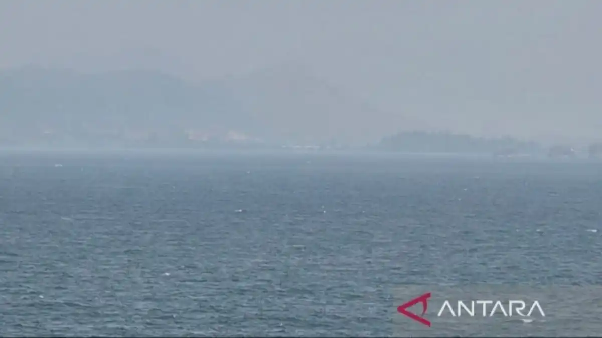 BMKG Jelaskan Kabut di Jayapura Terbentuk karena Kelembapan Tinggi