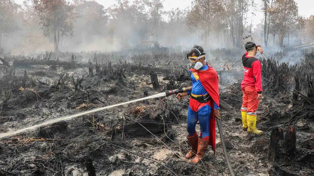 Pemerintah Kerahkan Berbagai Unsur Menangani Kebakaran Hutan dan Lahan