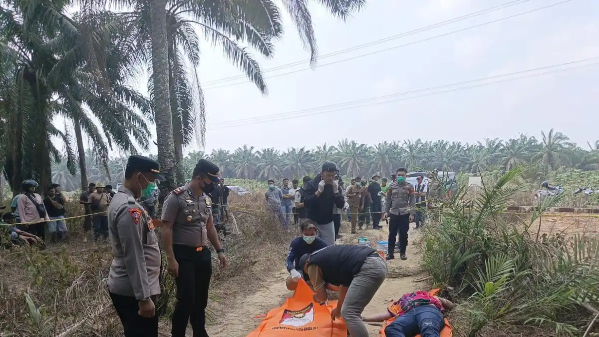 Polisi Dalami Penyebab Kematian Yulia di Perkebunan Sawit Mesuji