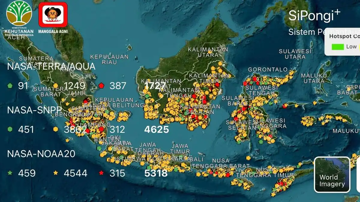 Karhutla Meluas di Kalteng dan Sumsel, Ratusan Hektare Masih Ditangani