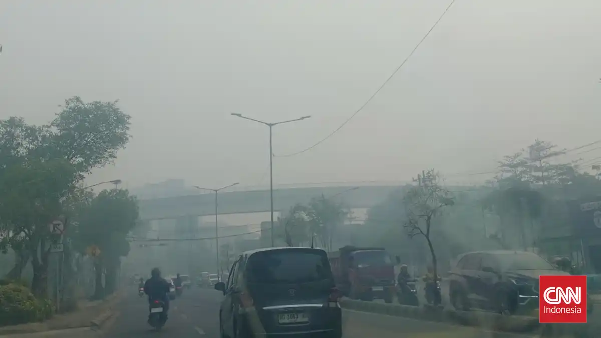Kabut Asap Karhutla Mengancam Kesehatan Mata Selain Pernapasan