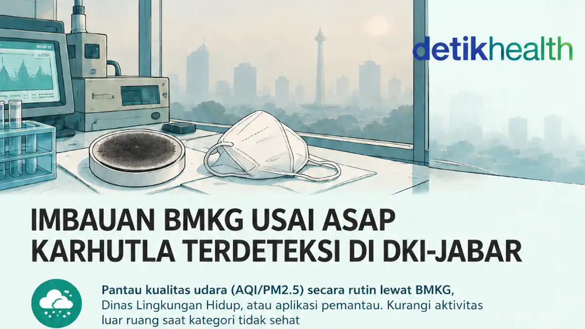 Asap Karhutla Terdeteksi di Atmosfer DKI, BMKG Imbau Warga Pantau Kualitas Udara