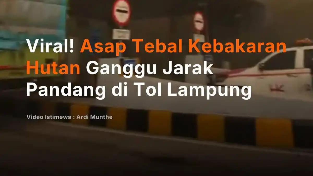 Asap Kebakaran Lahan Ganggu Pandangan di Ruas Tol Terpeka Lampung