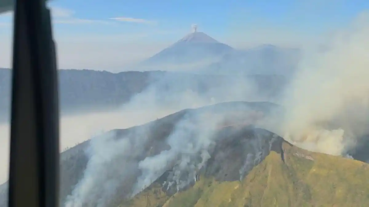 Kebakaran di Penanjakan Picu Pembatasan Kunjungan Wisata Bromo