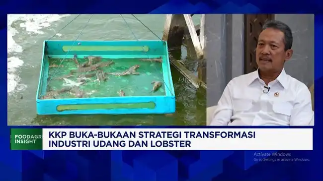 Video Menteri Trenggono: Informasi yang Perlu Dipastikan Sebelum Berita Ditulis