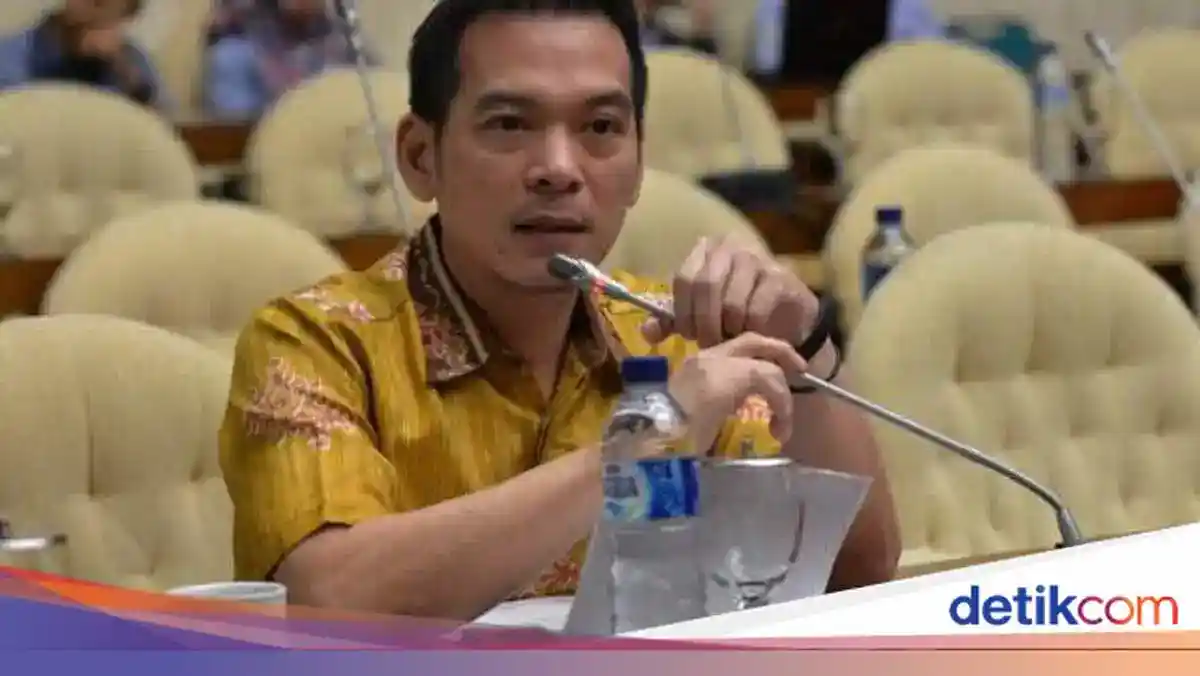 Temuan Bibit Sawit di Area Bekas Karhutla Dharmasraya Picu Desakan Pengusutan