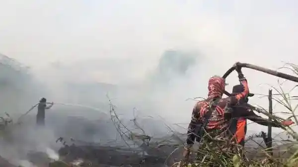 Api Gambut Kembali Membesar di Sampit, Pemadaman Terkendala Jalan Padat