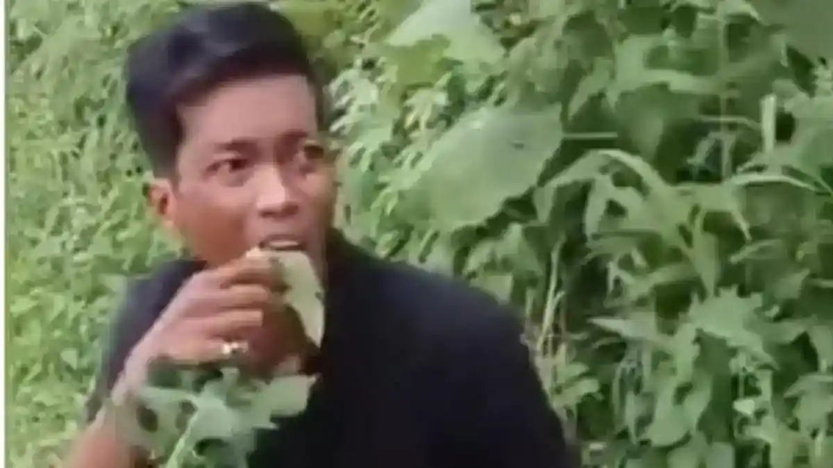 Dua Pria Diduga Curi Pepaya Dipaksa Makan Daun Kates di Deli Serdang