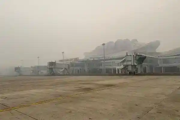 Kabut Karhutla Ganggu 2.775 Penerbangan Domestik, Dampaknya Meluas hingga NTT