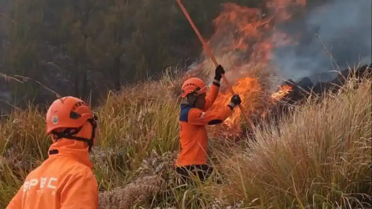 Petugas Keamanan Korban Kebakaran Bromo Wafat, Korban Jiwa Menjadi Enam