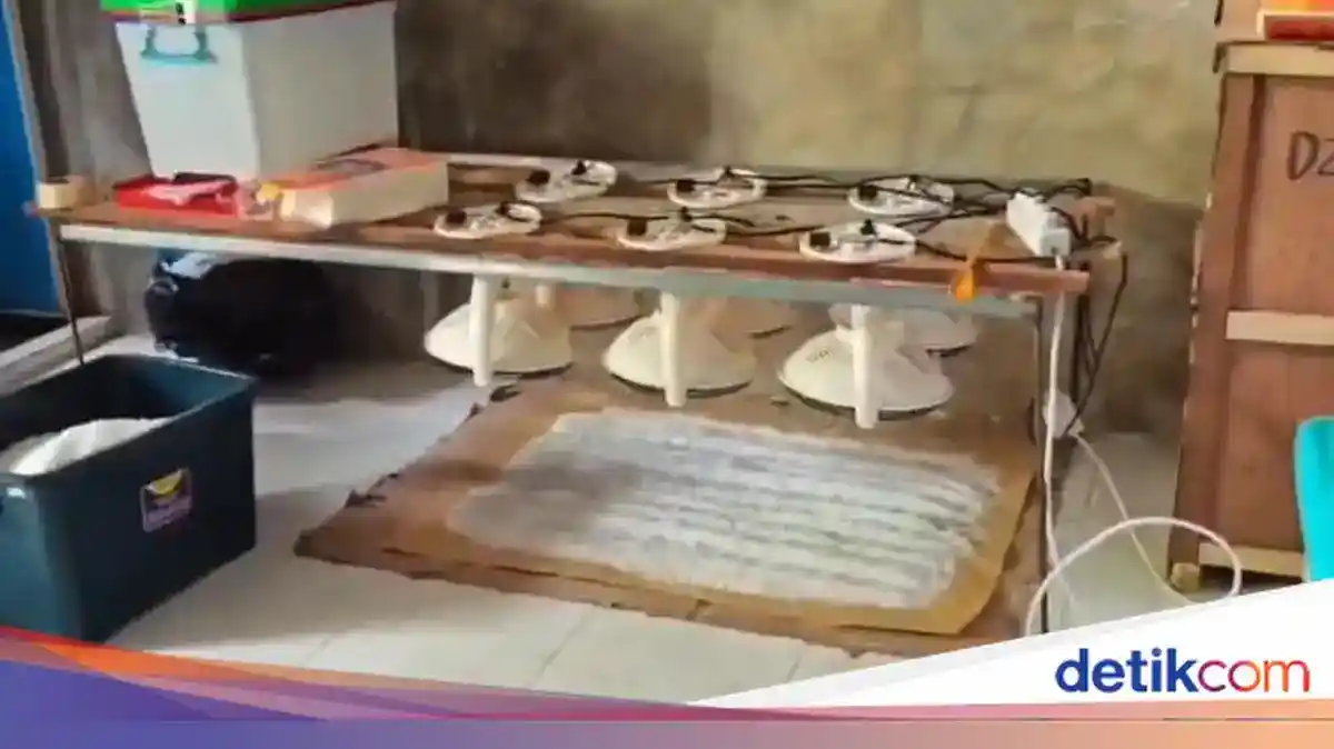 Pengungkapan Laboratorium Narkotika di Pidie dan Operasi Ketamin di Belawan