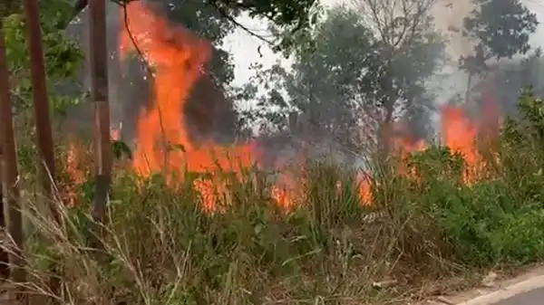 Karhutla di Kalsel Berlanjut, Api Mendekati Permukiman dan Air Terbatas
