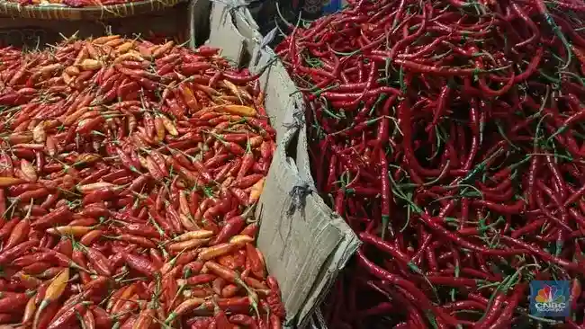 Harga Pangan Bergejolak Jadi Tantangan Pengendalian Inflasi, BI Soroti Beras dan Cabai